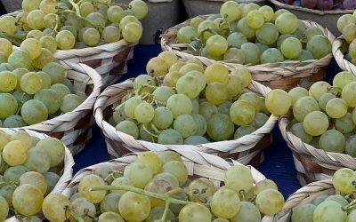 Cafeaua, strugurii, citricele, la risc din cauza noilor reguli UE