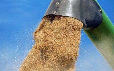 Fermierii mici, uniți, vând făină românească în toată țara