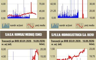 Bursa București: Corecție în scădere abruptă