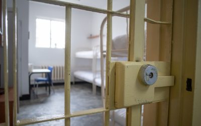 Rusie: 3 ani de închisoare pentru donație Navalnîi; AUR obligă ONG-uri să divulge donatori