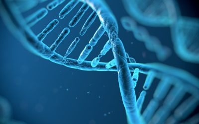 ADN-ul gunoi: Comoară anticancer? Cercetătorii au găsit cheia