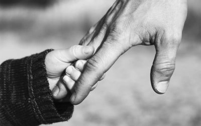 Ungaria, Orban, stop la interdicția adopției de către cuplurile gay