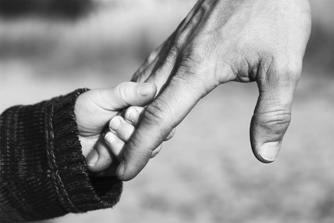 Ungaria, Orban, stop la interdicția adopției de către cuplurile gay