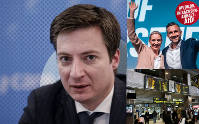 Caramitru, atac la diaspora din Germania după votul AfD