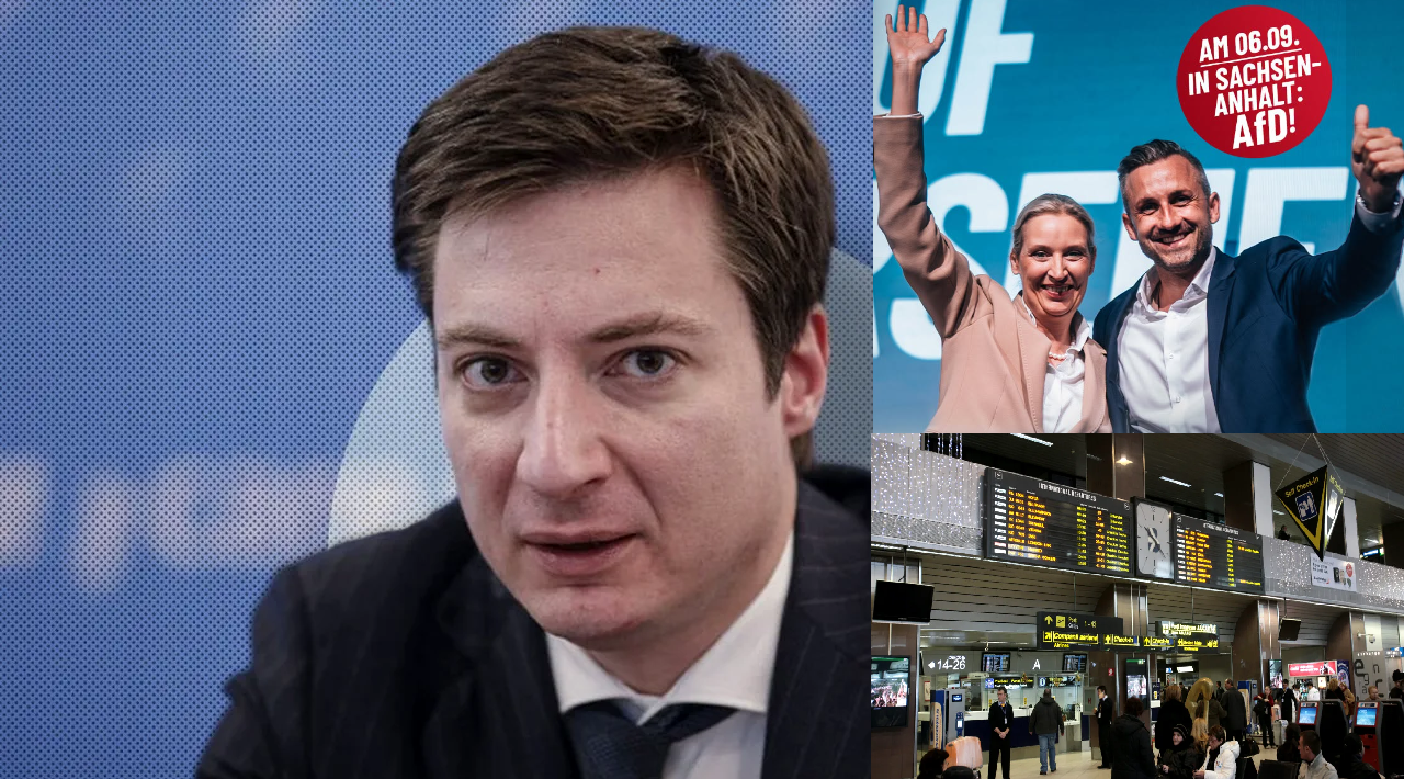 Caramitru, atac la diaspora din Germania după votul AfD
