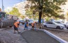 Coridor verde pe Calea 13 Septembrie: Peste 200.000 de plante în București