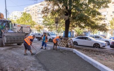 Coridor verde pe Calea 13 Septembrie: Peste 200.000 de plante în București