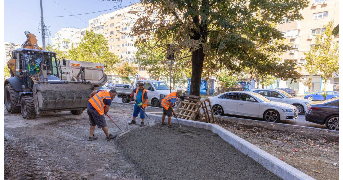 Coridor verde pe Calea 13 Septembrie: Peste 200.000 de plante în București