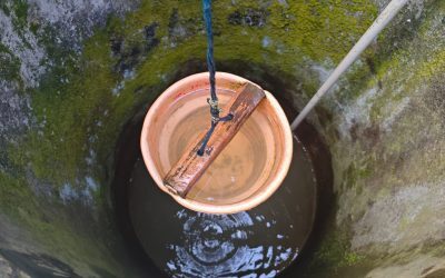 Creatură în fântâna din Muntenegru: 35 de ani de mister