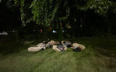 Piața Victoriei: Noaptea protestatarilor pe asfalt