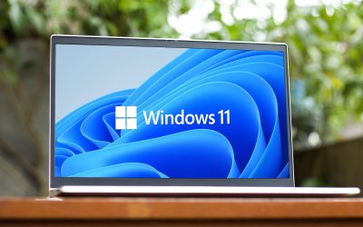 Windows 11 mănâncă SSD-ul: Eliberează zeci de GB cu o comandă
