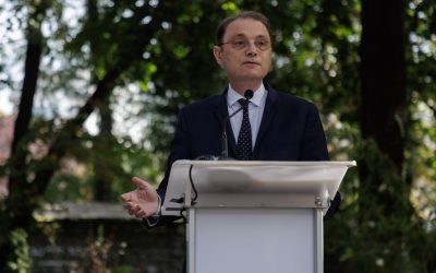 Guvern: Niculescu are 4 zile pentru 233 voturi sau pleacă
