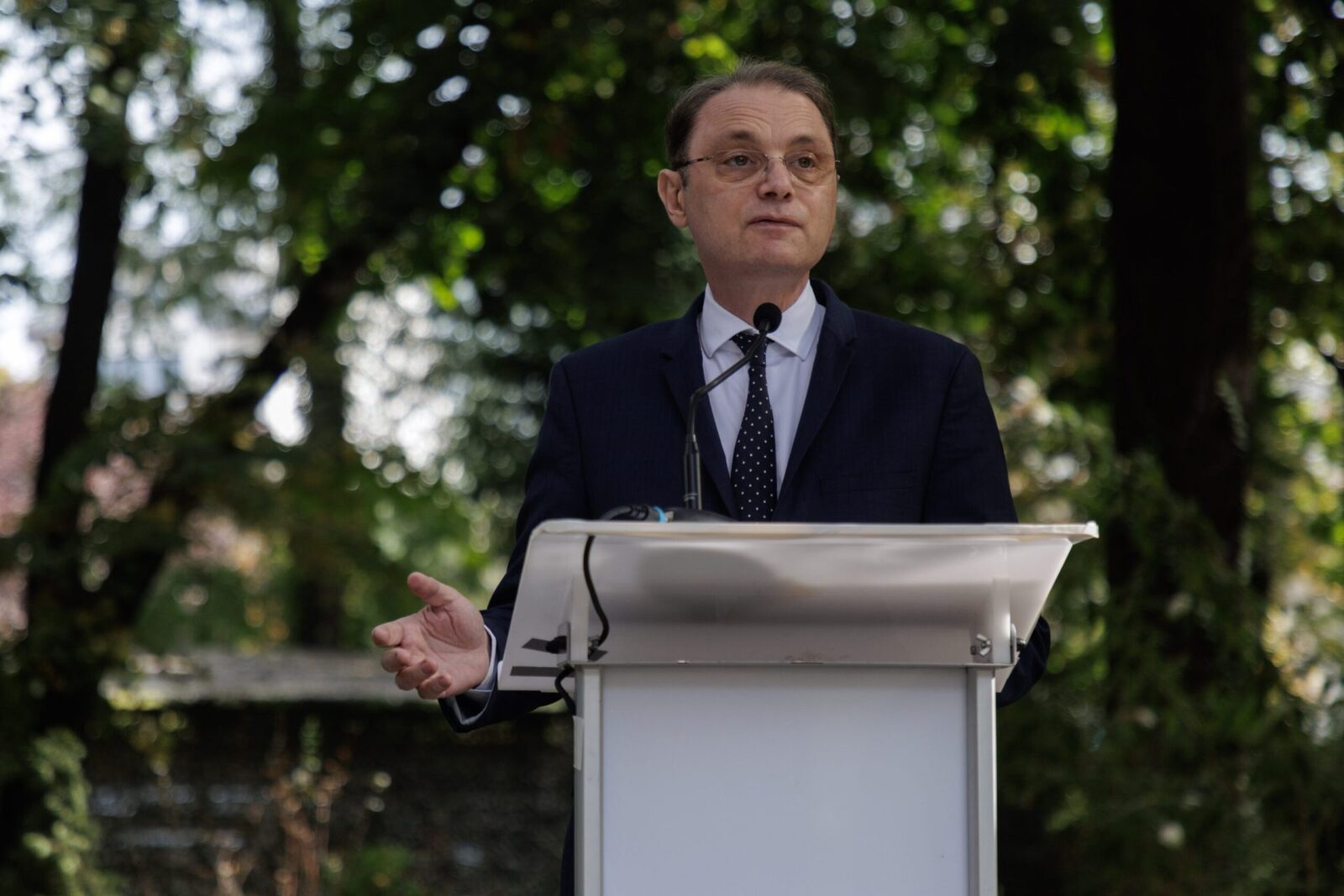 Guvern: Niculescu are 4 zile pentru 233 voturi sau pleacă