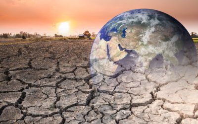 Omenirea: Plan de salvare climatică până în 2030 sau dezastru