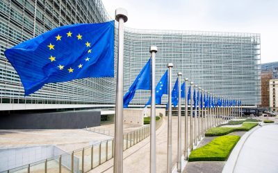 Miliarde pierdute la Reformă: Curtea de Conturi critică UE