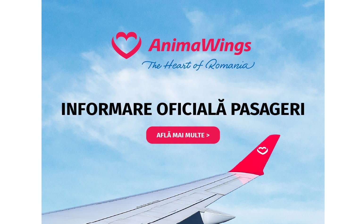 AnimaWings intră în reorganizare judiciară: Compania aeriană românească confirmă