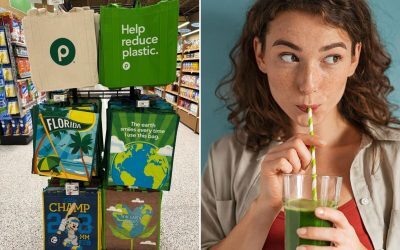 Șoc: Se prăbușesc miturile despre produse ecologice